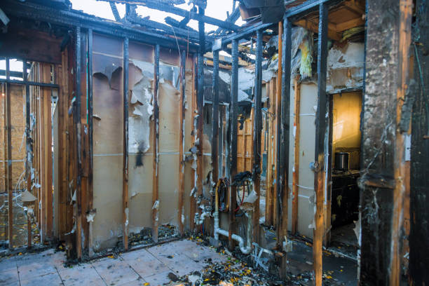 Professional Smoke Damage Removal technician working in Angola, IN